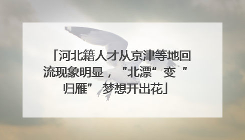 河北籍人才从京津等地回流现象明显，“北漂”变“归雁” 梦想开出花