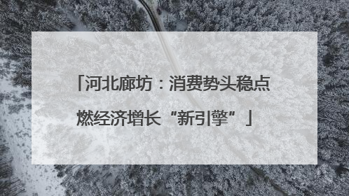 河北廊坊：消费势头稳点燃经济增长“新引擎”