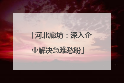 河北廊坊：深入企业解决急难愁盼