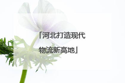 河北打造现代物流新高地