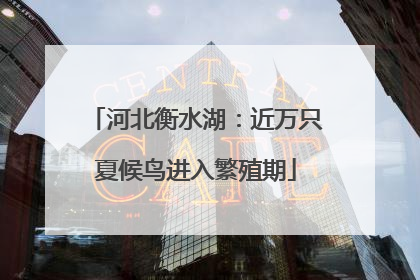 河北衡水湖：近万只夏候鸟进入繁殖期
