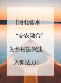 河北衡水：“交农融合”为乡村振兴注入新活力