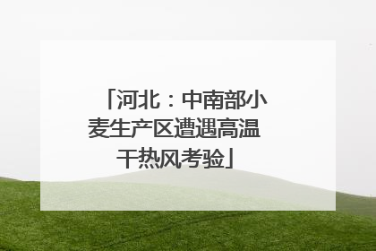 河北：中南部小麦生产区遭遇高温干热风考验