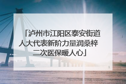 泸州市江阳区泰安街道人大代表新阶力量润桑梓 二次医保暖人心