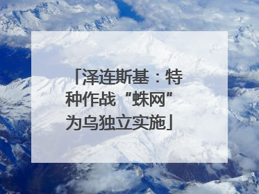 泽连斯基：特种作战“蛛网”为乌独立实施