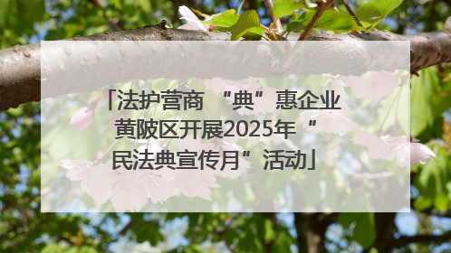 法护营商 “典”惠企业 黄陂区开展2025年“民法典宣传月”活动