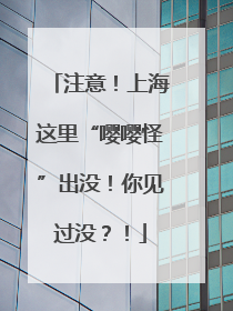 注意！上海这里“嘤嘤怪”出没！你见过没？！