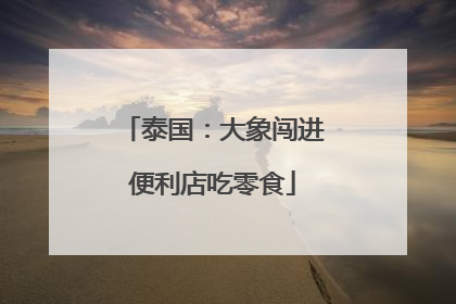 泰国：大象闯进便利店吃零食
