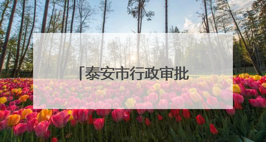 泰安市行政审批服务局举办“正青春‘政’有我”主题团建活动