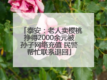 泰安：老人卖樱桃挣得2000余元被孙子网络充值 民警帮忙联系退回