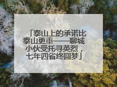 泰山上的承诺比泰山更重——聊城小伙受托寻英烈，七年四省终圆梦