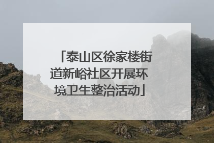 泰山区徐家楼街道新峪社区开展环境卫生整治活动