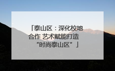 泰山区：深化校地合作 艺术赋能打造“时尚泰山区”