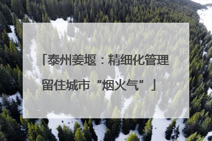 泰州姜堰：精细化管理留住城市“烟火气”