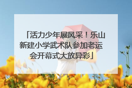 活力少年展风采！乐山新建小学武术队参加老运会开幕式大放异彩