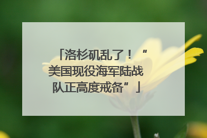 洛杉矶乱了！“美国现役海军陆战队正高度戒备”