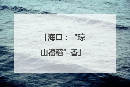 海口：“琼山福稻”香