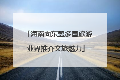 海南向东盟多国旅游业界推介文旅魅力