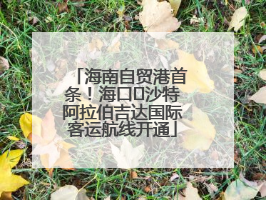 海南自贸港首条！海口⇌沙特阿拉伯吉达国际客运航线开通
