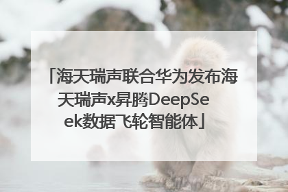 海天瑞声联合华为发布海天瑞声x昇腾DeepSeek数据飞轮智能体