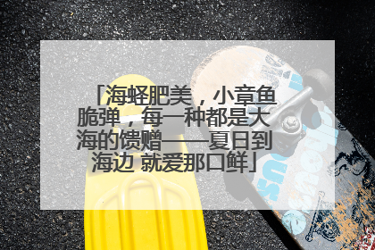 海蛏肥美，小章鱼脆弹，每一种都是大海的馈赠——夏日到海边 就爱那口鲜