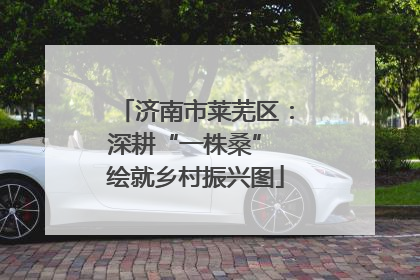 济南市莱芜区：深耕“一株桑” 绘就乡村振兴图