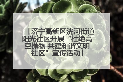 济宁高新区洸河街道阳光社区开展“杜绝高空抛物 共建和谐文明社区”宣传活动