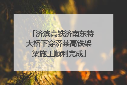 济滨高铁济南东特大桥下穿济莱高铁架梁施工顺利完成