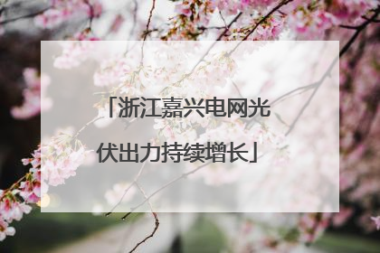 浙江嘉兴电网光伏出力持续增长