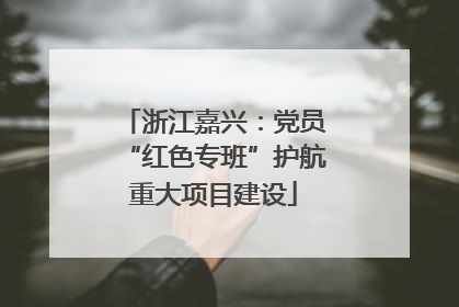 浙江嘉兴：党员“红色专班”护航重大项目建设