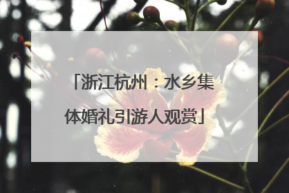 浙江杭州：水乡集体婚礼引游人观赏