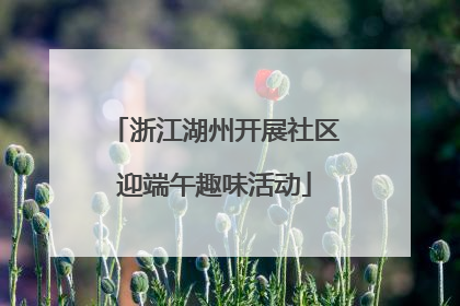 浙江湖州开展社区迎端午趣味活动