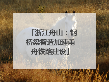 浙江舟山：钢桥梁智造加速甬舟铁路建设