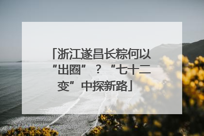 浙江遂昌长粽何以“出圈”？“七十二变”中探新路