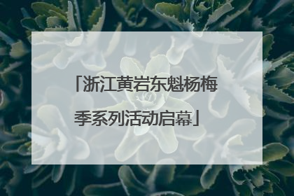 浙江黄岩东魁杨梅季系列活动启幕