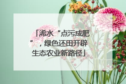 浠水“点污成肥”，绿色还田开辟生态农业新路径