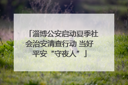 淄博公安启动夏季社会治安清查行动 当好平安“守夜人”