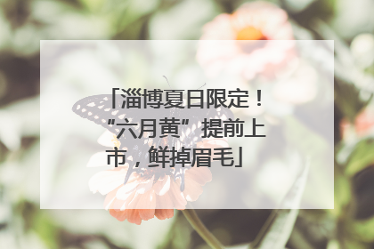 淄博夏日限定！“六月黄”提前上市，鲜掉眉毛