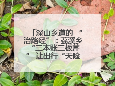 深山乡道的 “治路经”：荔溪乡 “三本账三板斧” 让出行“天险变通途”