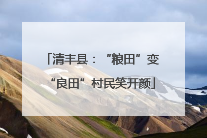 清丰县：“粮田”变“良田”村民笑开颜