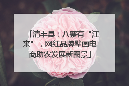 清丰县：八寨有“江来”，网红品牌擘画电商助农发展新图景