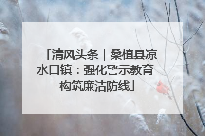 清风头条｜桑植县凉水口镇：强化警示教育 构筑廉洁防线