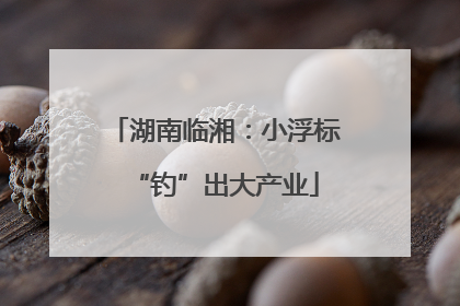 湖南临湘：小浮标“钓”出大产业