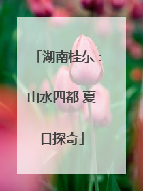 湖南桂东：山水四都 夏日探奇