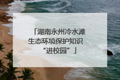 湖南永州冷水滩生态环境保护知识“进校园”