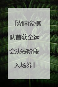湖南象棋队首获全运会决赛阶段入场券