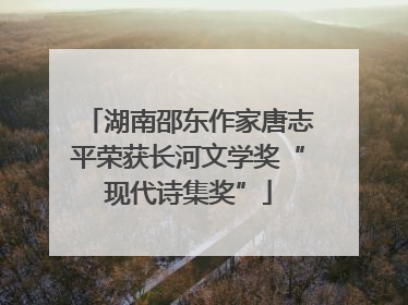 湖南邵东作家唐志平荣获长河文学奖“现代诗集奖”