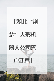 湖北“荆楚”人形机器人公司落户武昌