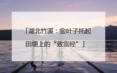 湖北竹溪：金叶子托起田埂上的“致富经”