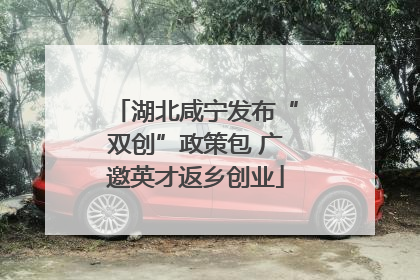 湖北咸宁发布“双创”政策包 广邀英才返乡创业